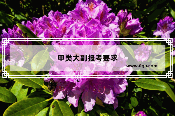 甲类大副报考要求