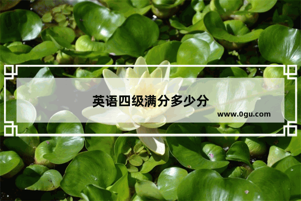 英语四级满分多少分