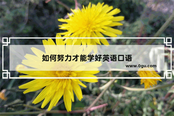 如何努力才能学好英语口语