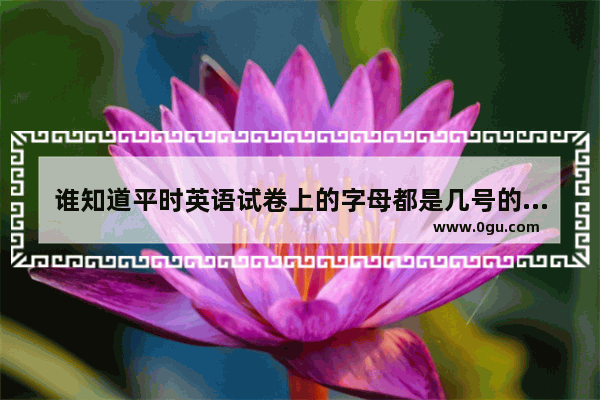 谁知道平时英语试卷上的字母都是几号的 什么字体？急啊