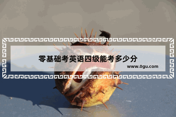 零基础考英语四级能考多少分
