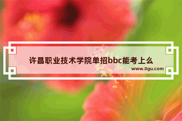 许昌职业技术学院单招bbc能考上么