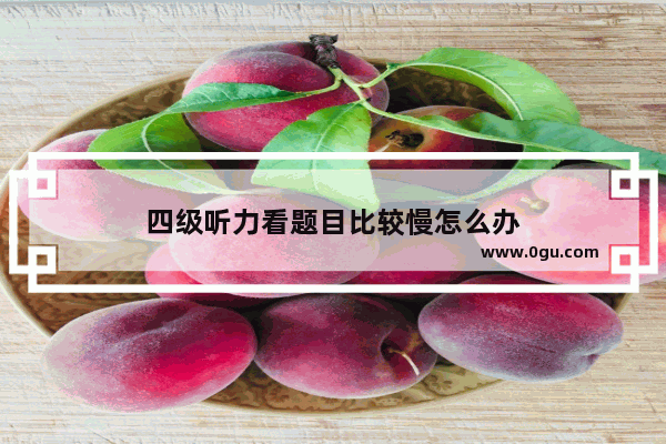 四级听力看题目比较慢怎么办