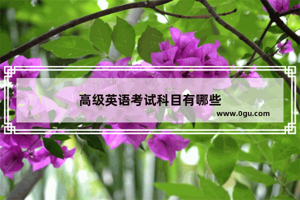 高级英语考试科目有哪些