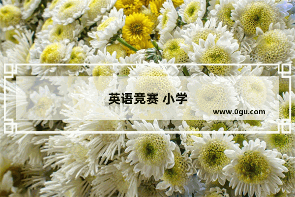 英语竞赛 小学