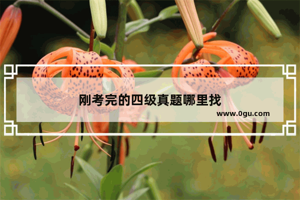 刚考完的四级真题哪里找