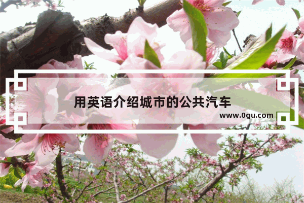 用英语介绍城市的公共汽车