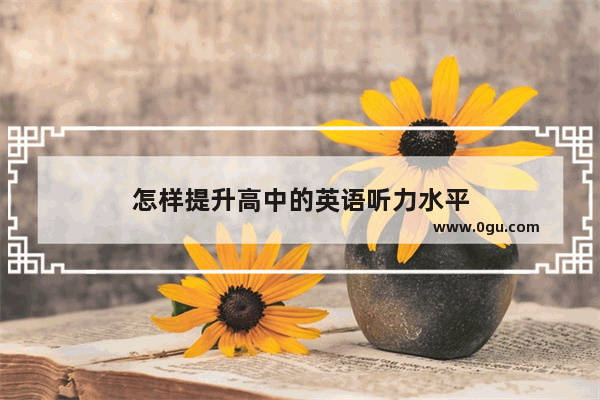怎样提升高中的英语听力水平