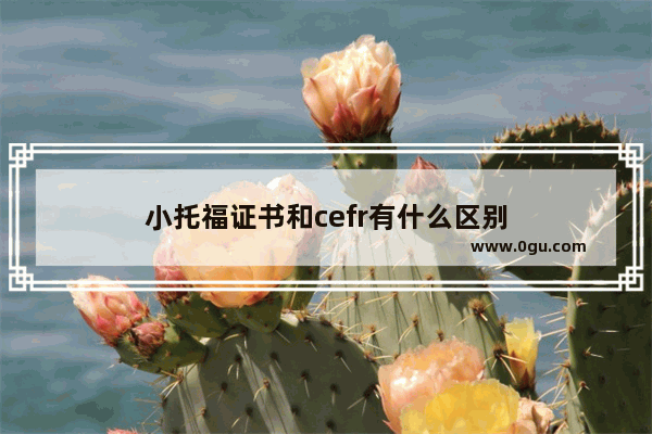 小托福证书和cefr有什么区别