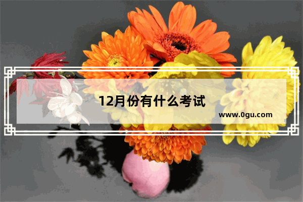 12月份有什么考试