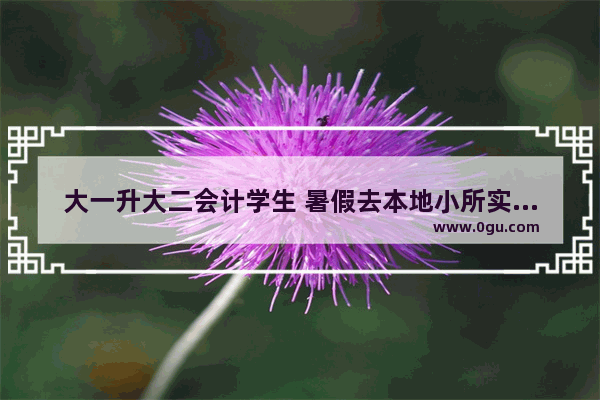 大一升大二会计学生 暑假去本地小所实习还是在家备考四六级和计算机二级更好