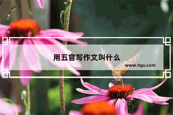 用五官写作文叫什么