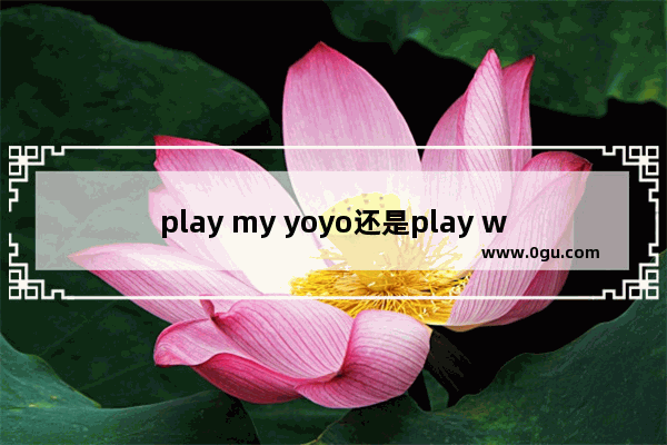 play my yoyo还是play with my yoyo
