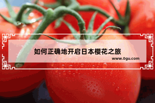 如何正确地开启日本樱花之旅