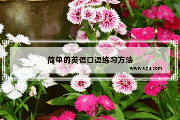 简单的英语口语练习方法