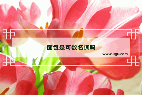 面包是可数名词吗