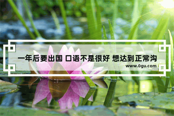 一年后要出国 口语不是很好 想达到正常沟通交流水平 适合学习哪类课程呢