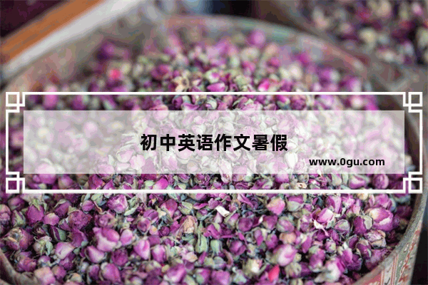 初中英语作文暑假