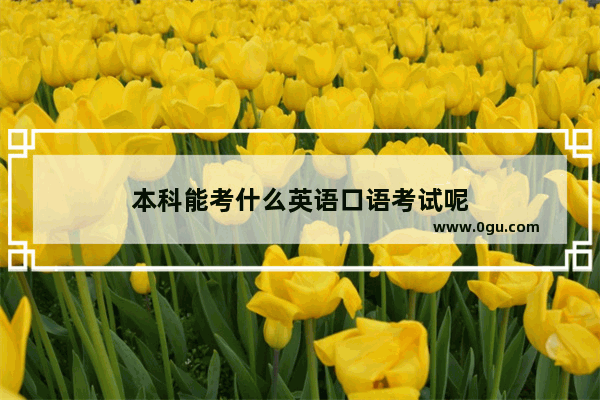 本科能考什么英语口语考试呢