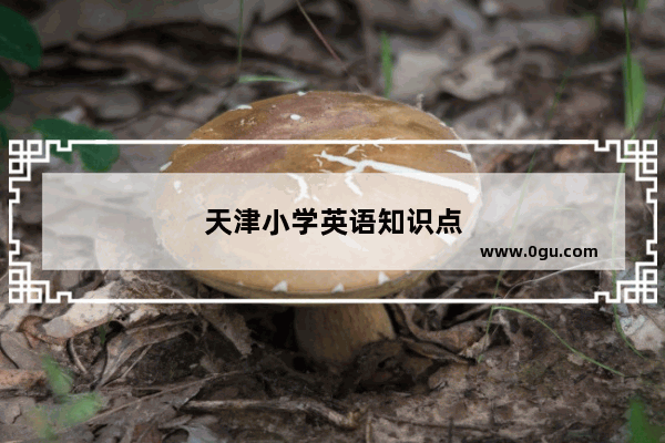 天津小学英语知识点