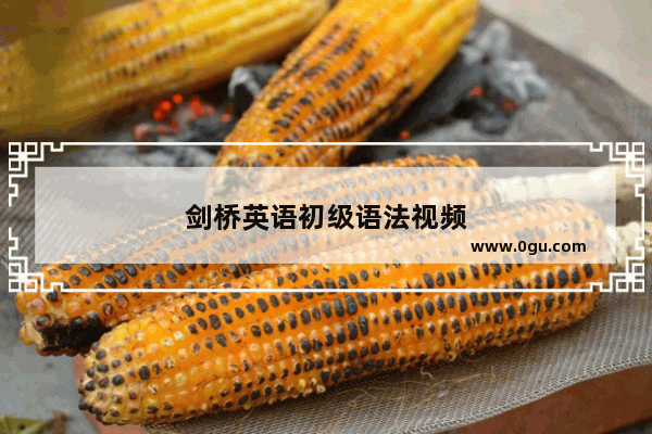 剑桥英语初级语法视频