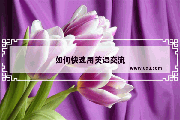 如何快速用英语交流