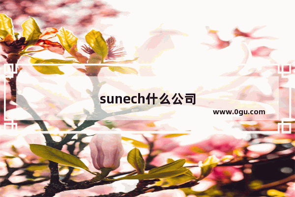 sunech什么公司