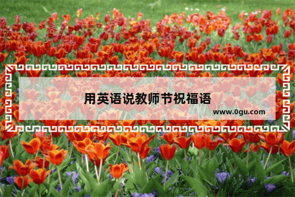 用英语说教师节祝福语