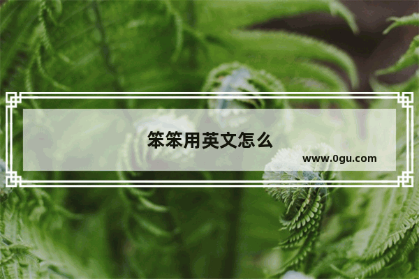 笨笨用英文怎么