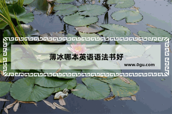 薄冰哪本英语语法书好