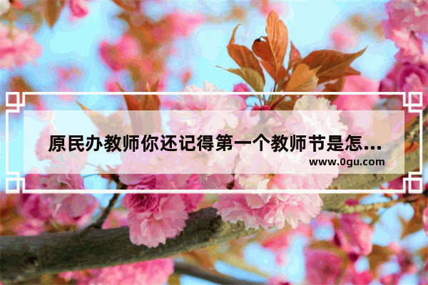 原民办教师你还记得第一个教师节是怎么过的吗 你那时的待遇怎么样？可否分享一下