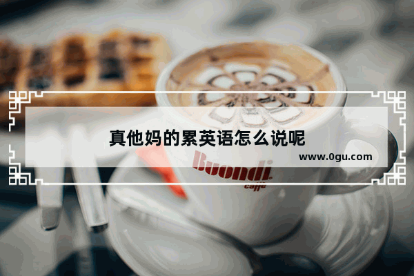 真他妈的累英语怎么说呢