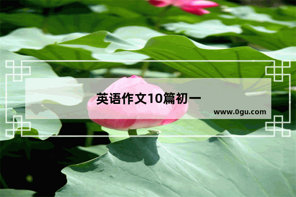 英语作文10篇初一