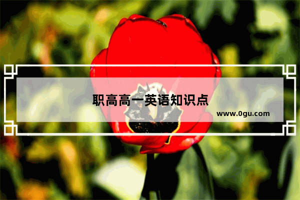 职高高一英语知识点
