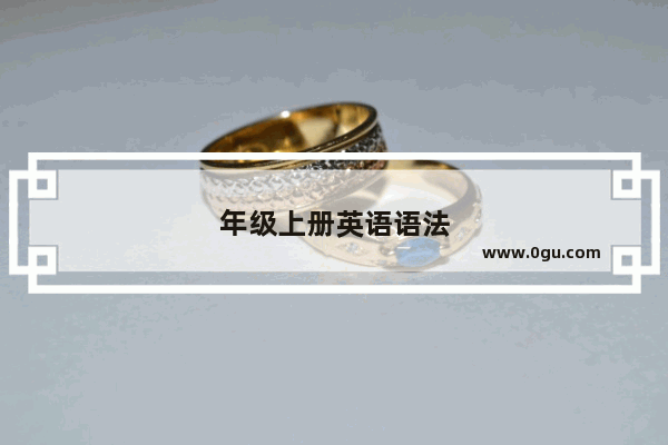 年级上册英语语法