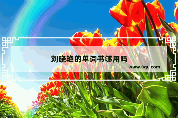 刘晓艳的单词书够用吗