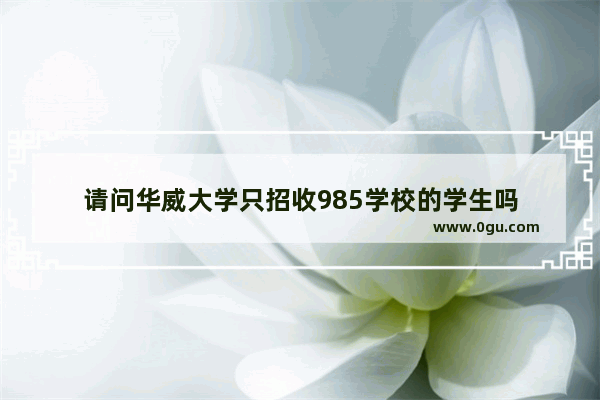请问华威大学只招收985学校的学生吗