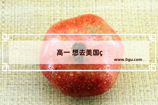 高一 想去美国留学 请问该如何规划TOEFL与SAT的学习呢