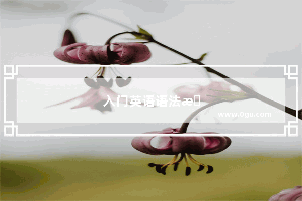 入门英语语法教学