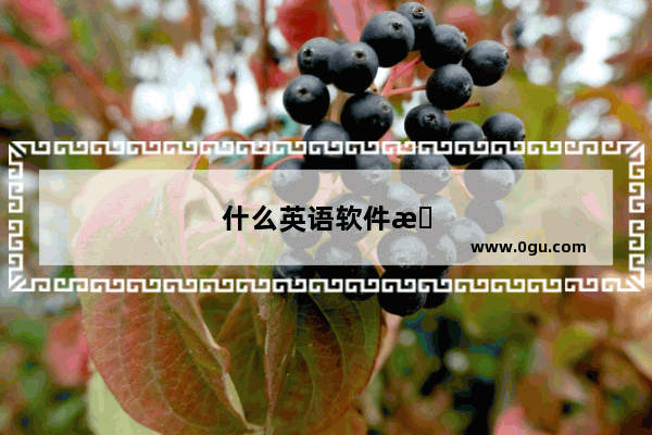 什么英语软件有同步课本教材的