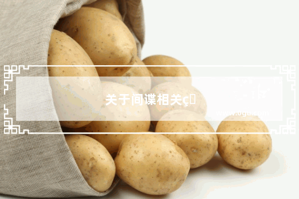关于间谍相关的英语词语