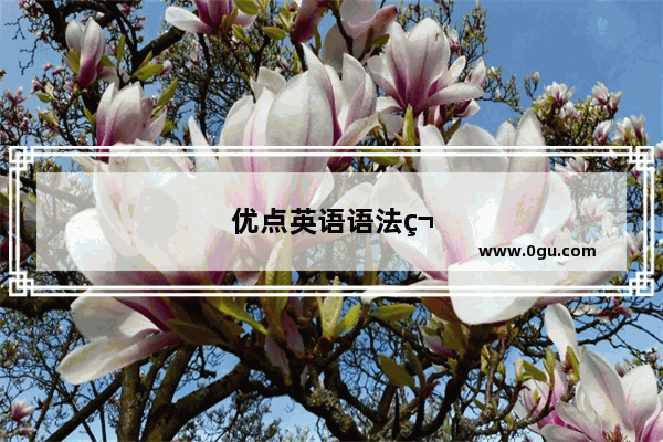 优点英语语法笔记怎么写