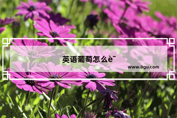 英语葡萄怎么说呢