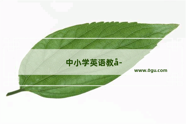 中小学英语教学杂志