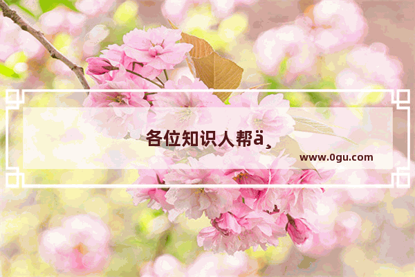 各位知识人帮一下忙：四川学的英语是英式英语还是美式英语