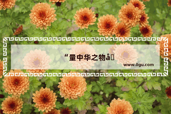 “量中华之物力 结与国之欢心” 这句话是什么意思