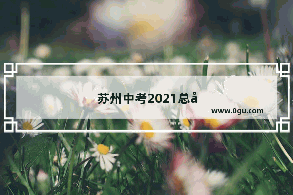 苏州中考2021总分