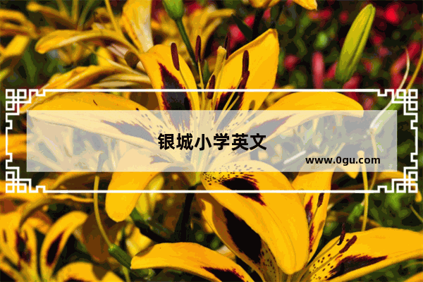 银城小学英文