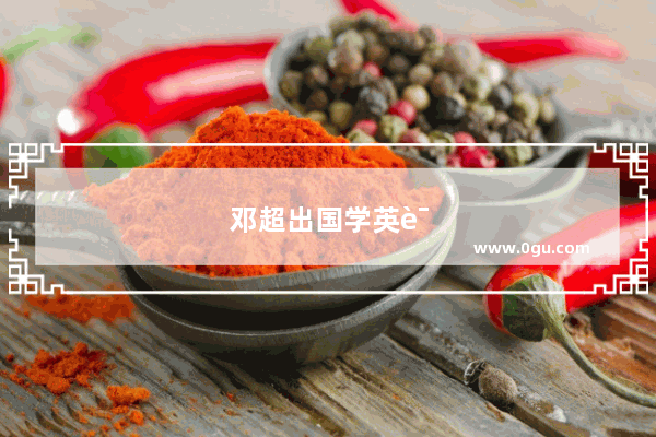 邓超出国学英语的电影