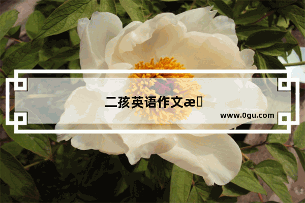 二孩英语作文怎么写